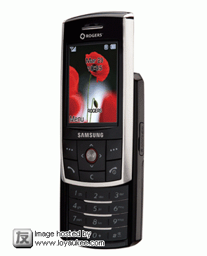 Samsung D807x