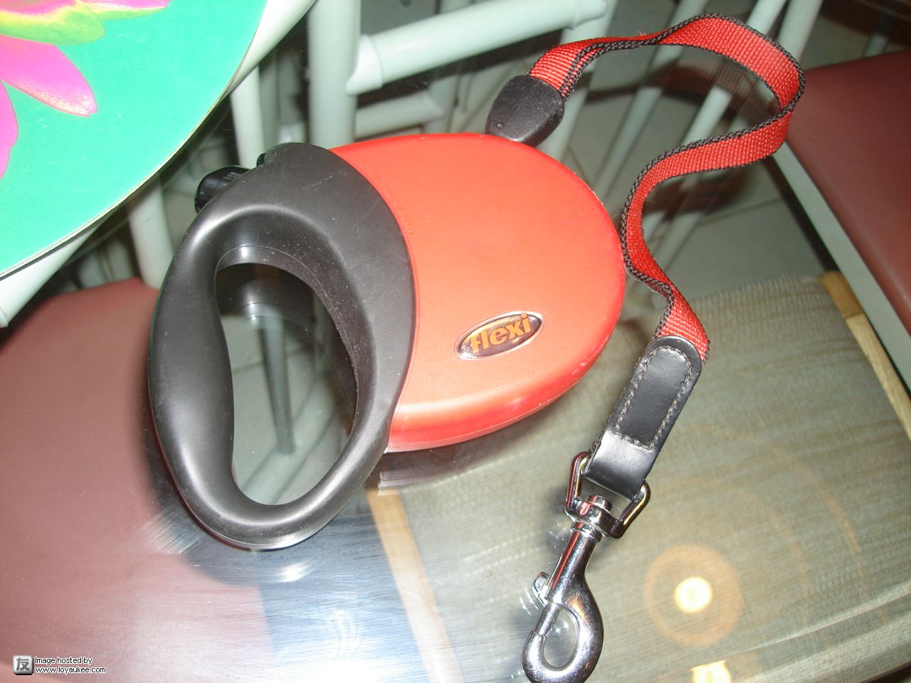 Retractable dog leash